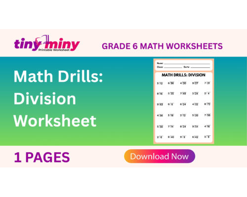 Math Drills Division Worksheet