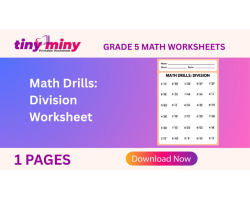 Math Drills Division Worksheet